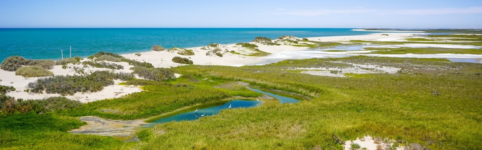 Events for the month of July in Puerto Peñasco