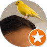 Ed Mo profile
