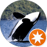 Terry Luder Groenwold (Tsdolphin1) profile