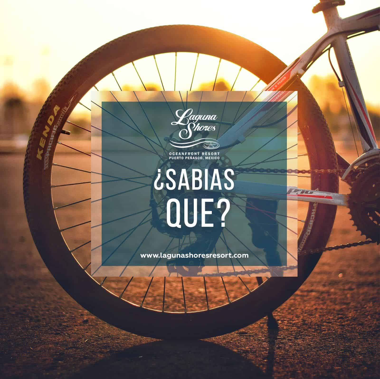 Did you know Laguna Shores Resort has bicycles?