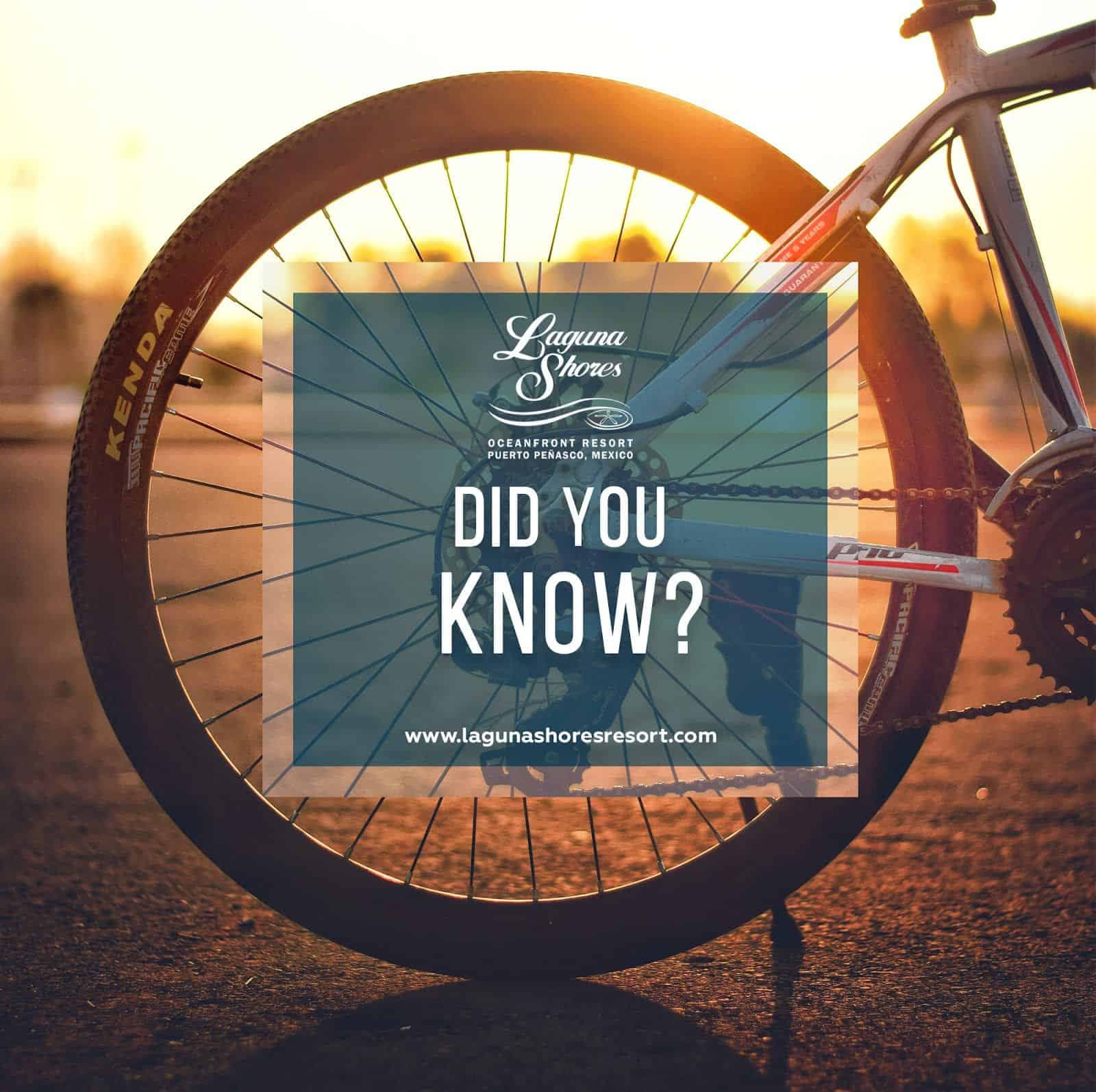 Do you know that Laguna Shore Resort has bicycles?
