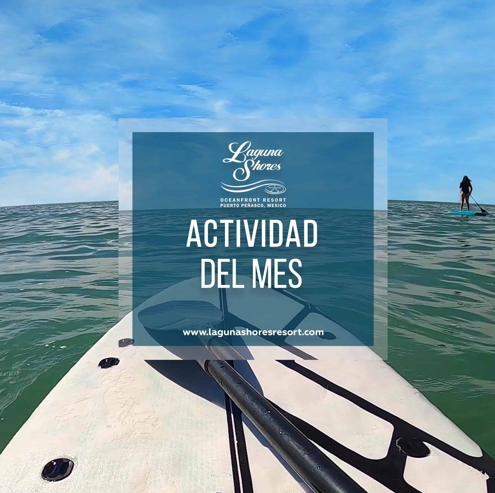 Did You Know Laguna Shores Resort has Paddleboards?