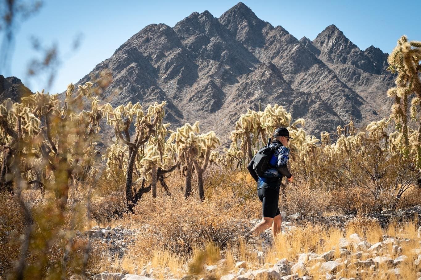 Vida silvestre y paisaje de Puerto Peñasco