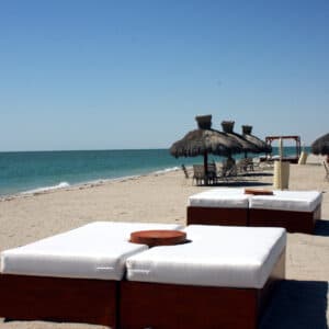 LS-Ocean-SunningBeds