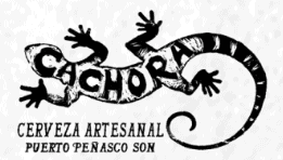 Cachora Beer Logo
